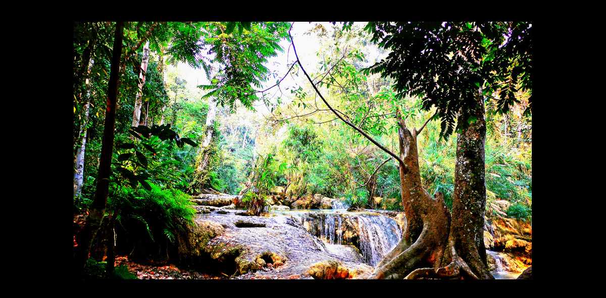 landscape01.jpg
