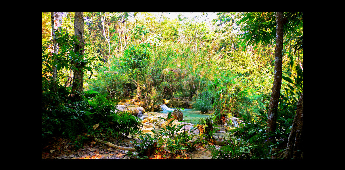 landscape10.jpg