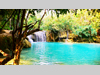 landscape02_kl.jpg