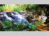 landscape08_kl.jpg