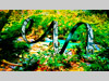 stills12_kl.jpg